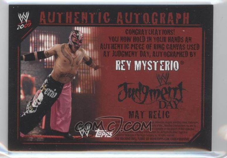 wwe judgment day 2009. 2009 Topps WWE Judgement Day